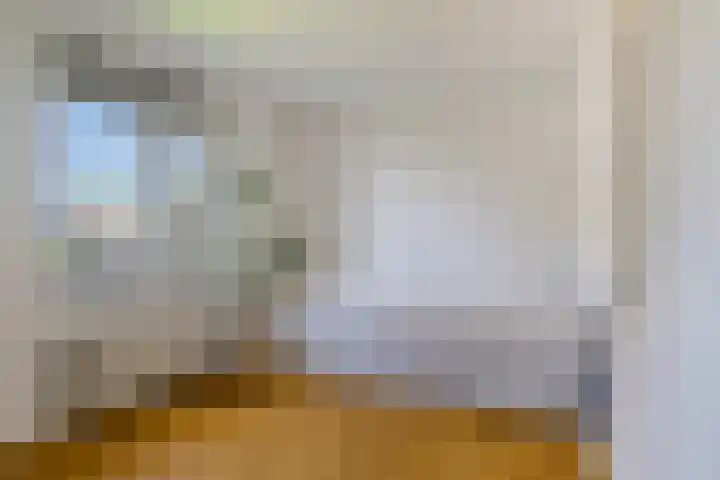 De Vijzel 8 Buitenpost thumbnail 52