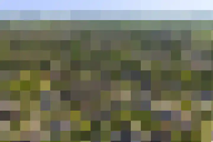 De Vijzel 8 Buitenpost thumbnail 6