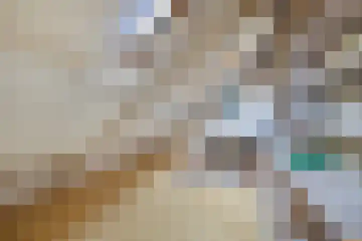 De Vijzel 8 Buitenpost thumbnail 61