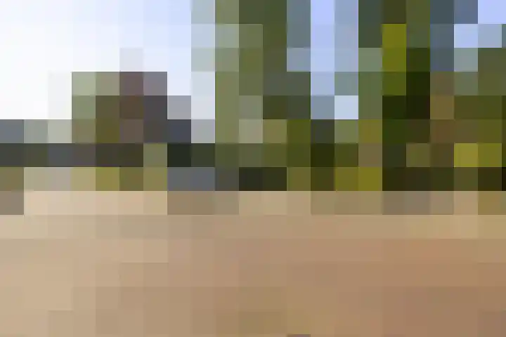 De Vijzel 8 Buitenpost thumbnail 7