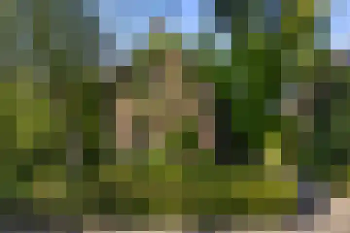 De Vijzel 8 Buitenpost thumbnail 8