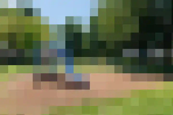 De Vink 18 Almelo thumbnail 29