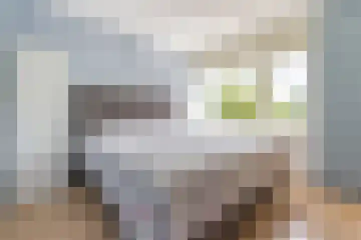 De Vink 37 Hoogeveen thumbnail 17