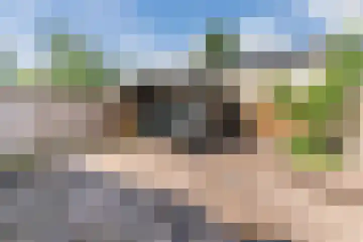 De Vink 37 Hoogeveen thumbnail 37