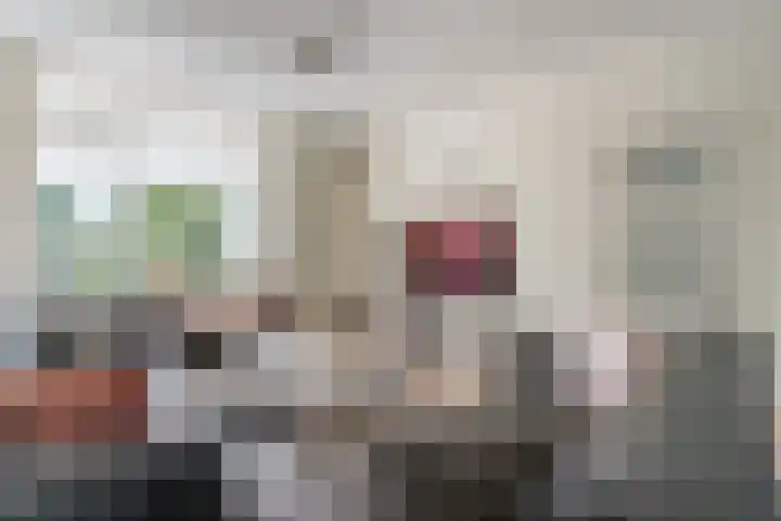 De Vink 37 Hoogeveen thumbnail 4