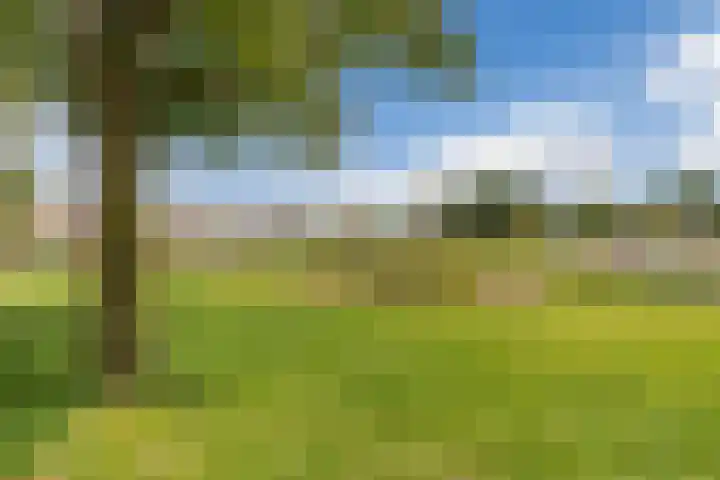 De Vink 37 Hoogeveen thumbnail 42