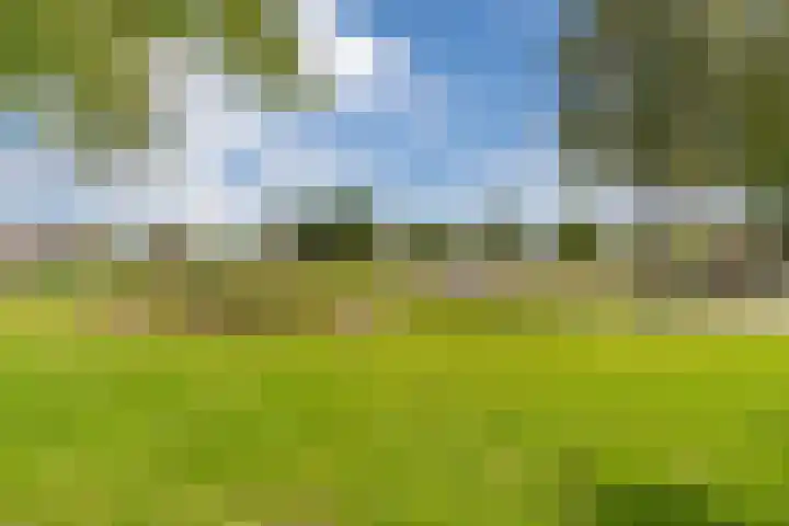De Vink 37 Hoogeveen thumbnail 43