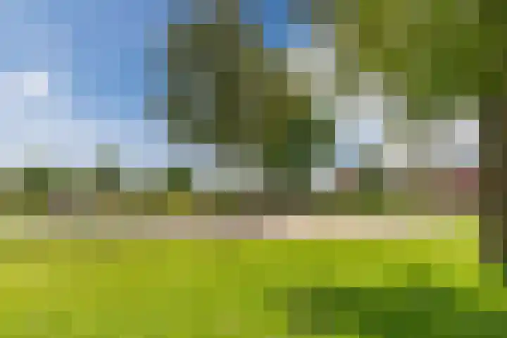 De Vink 37 Hoogeveen thumbnail 44