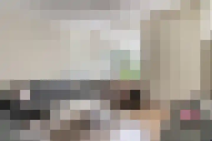De Vink 37 Hoogeveen thumbnail 5