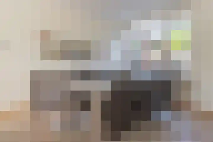 De Vink 37 Hoogeveen thumbnail 6