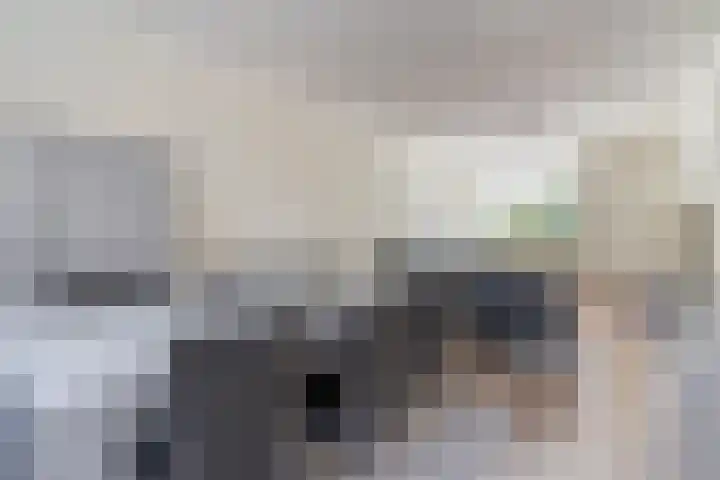 De Vink 37 Hoogeveen thumbnail 8