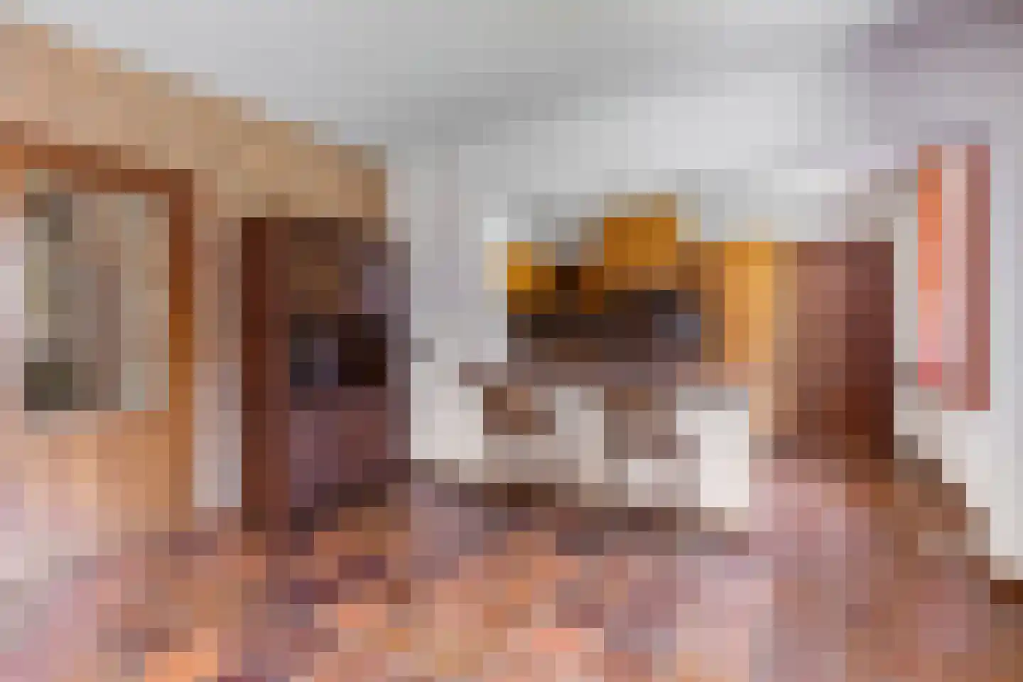 De Vinne 7 Budel thumbnail 11