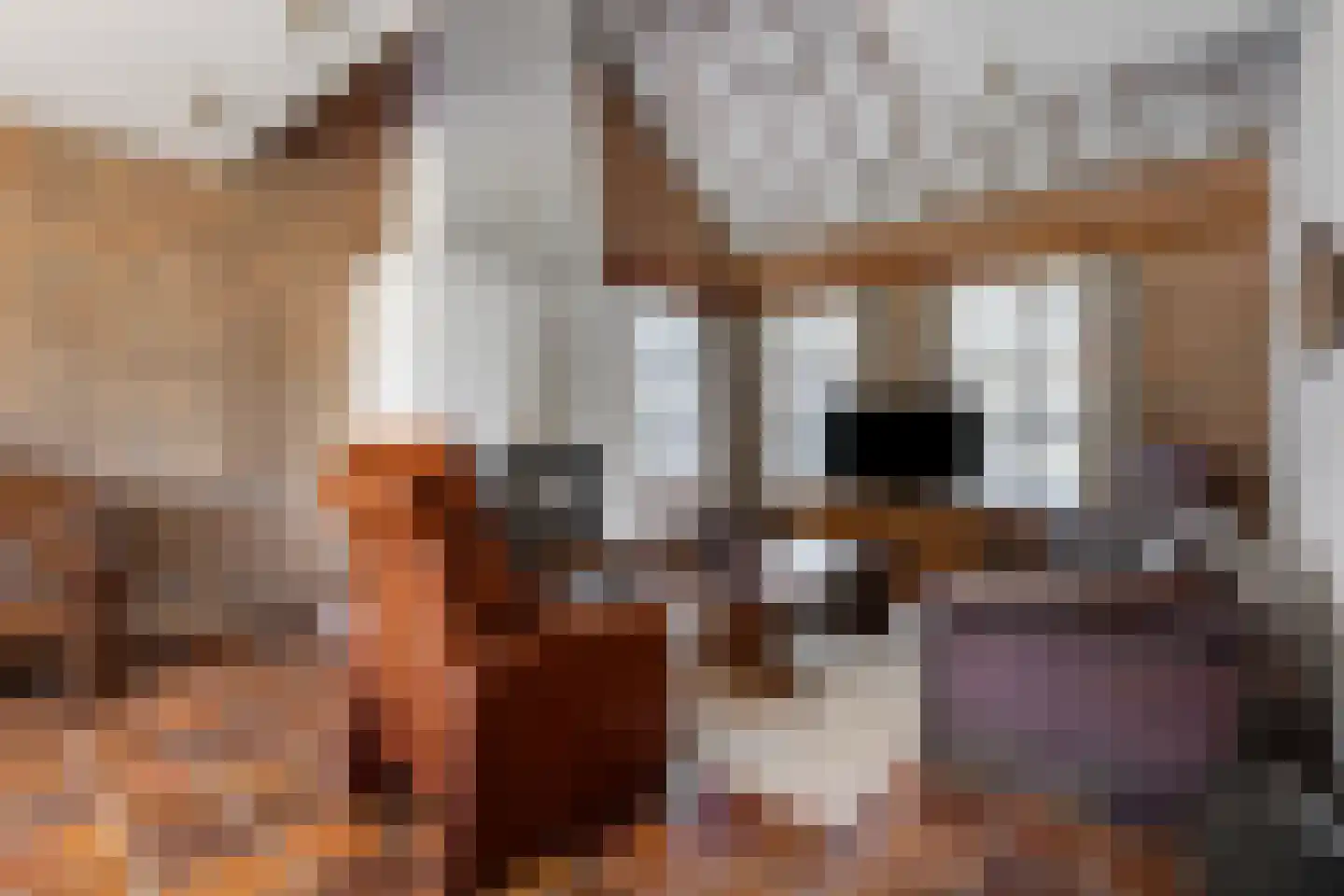 De Vinne 7 Budel foto 3