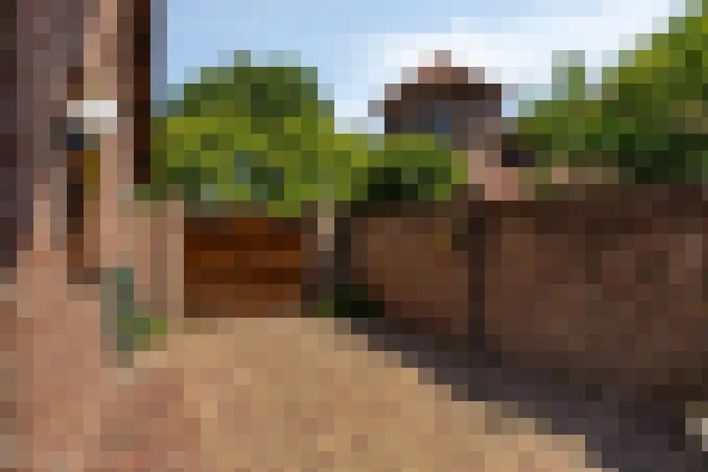 De Vinne 7 Budel thumbnail 32