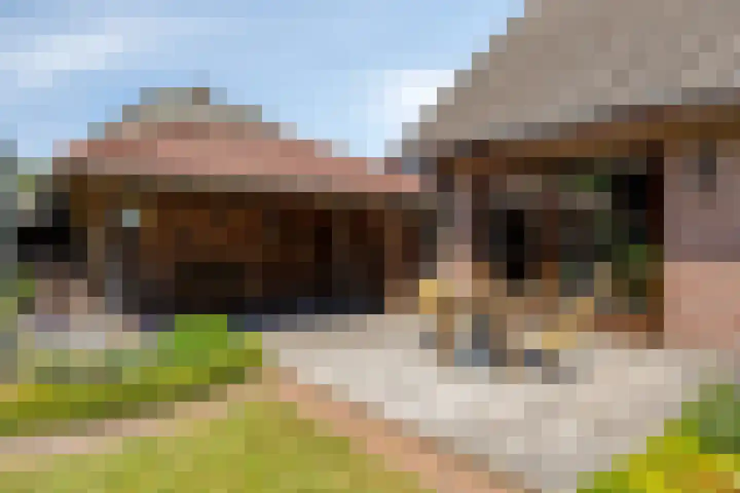 De Vinne 7 Budel thumbnail 34