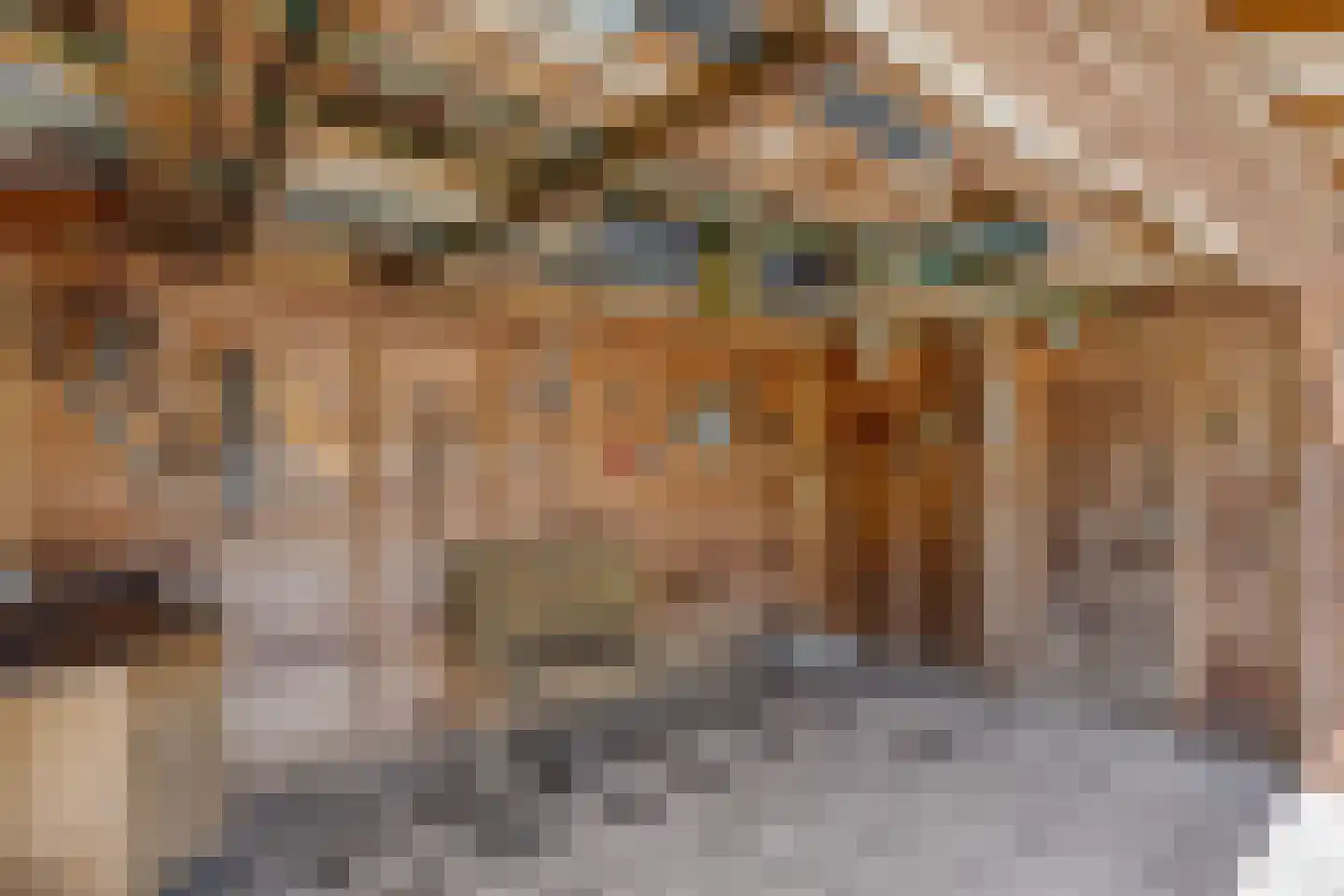 De Vinne 7 Budel thumbnail 36