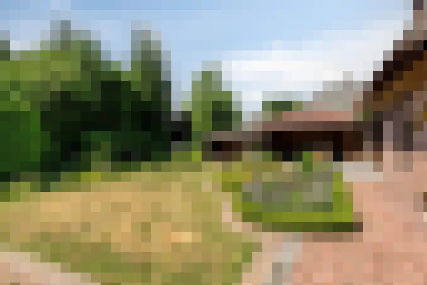 De Vinne 7 Budel thumbnail 37