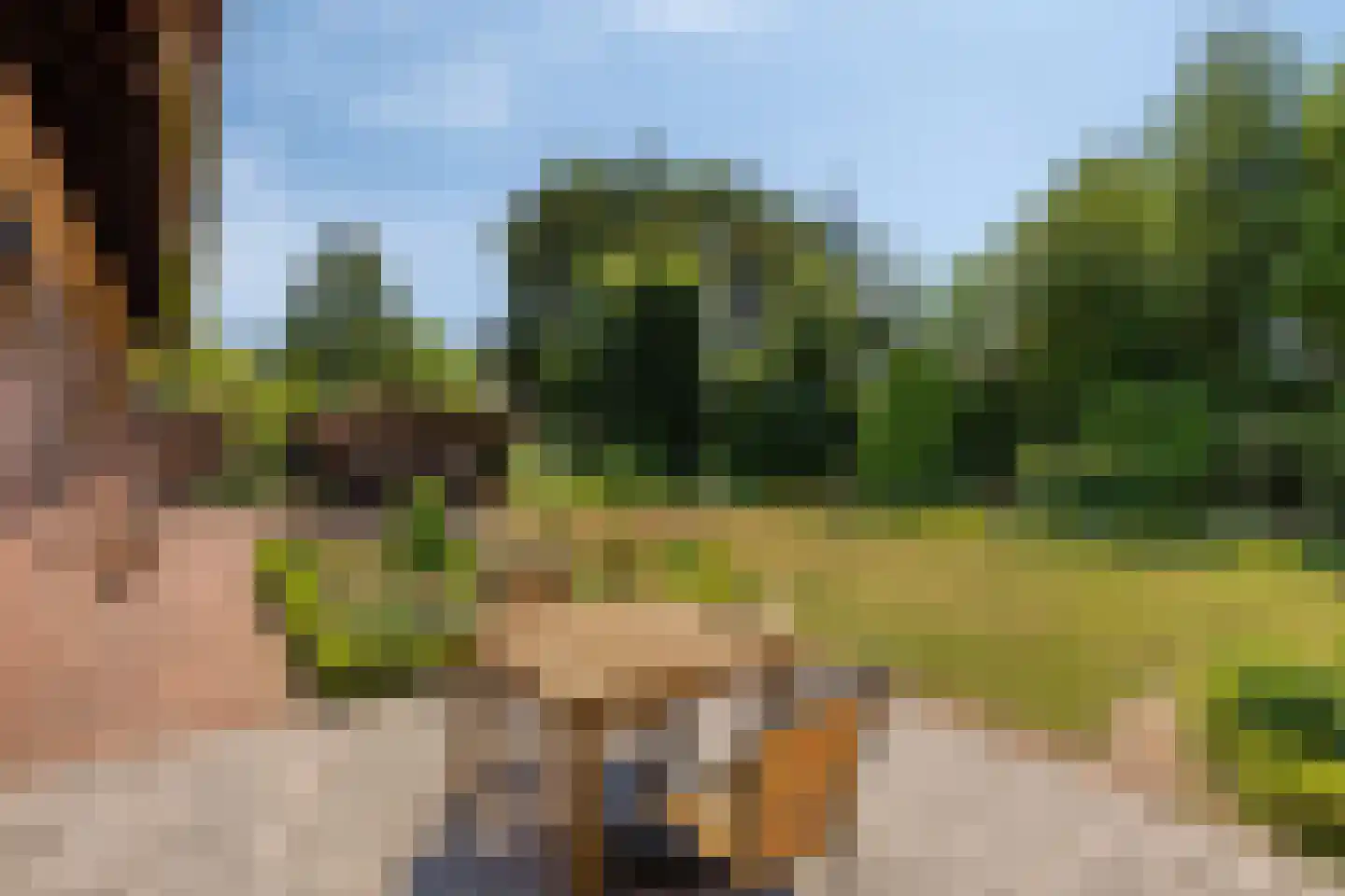 De Vinne 7 Budel thumbnail 38