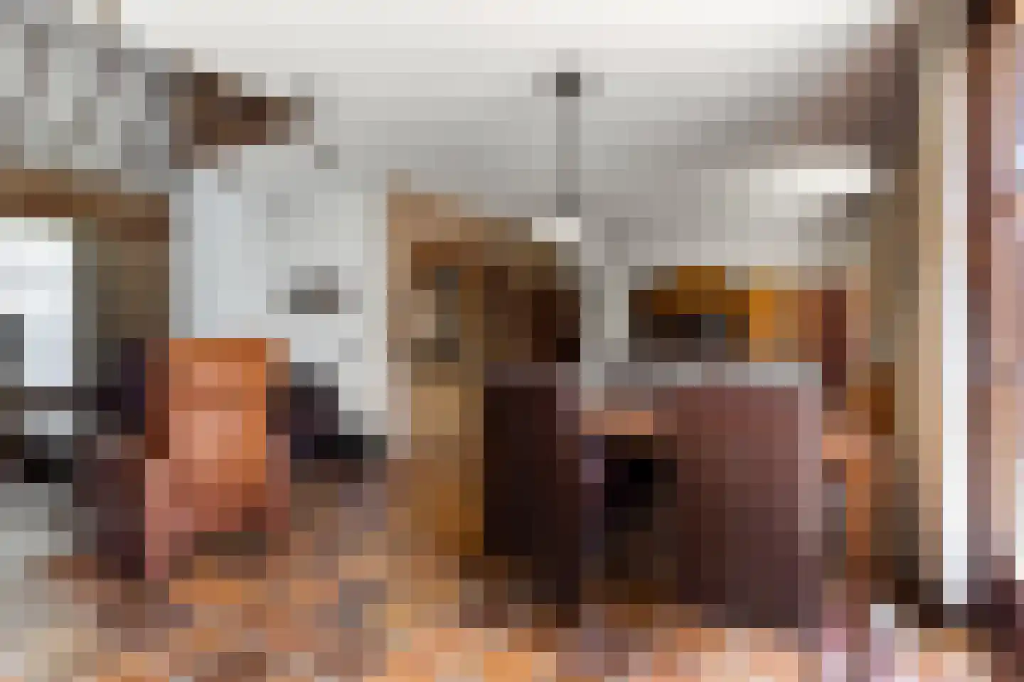De Vinne 7 Budel thumbnail 5