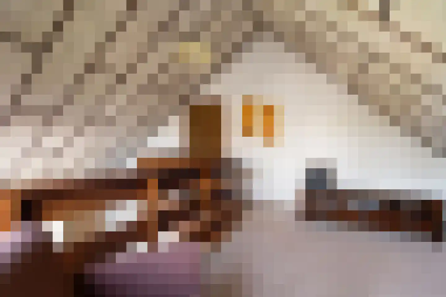 De Vinne 7 Budel thumbnail 9