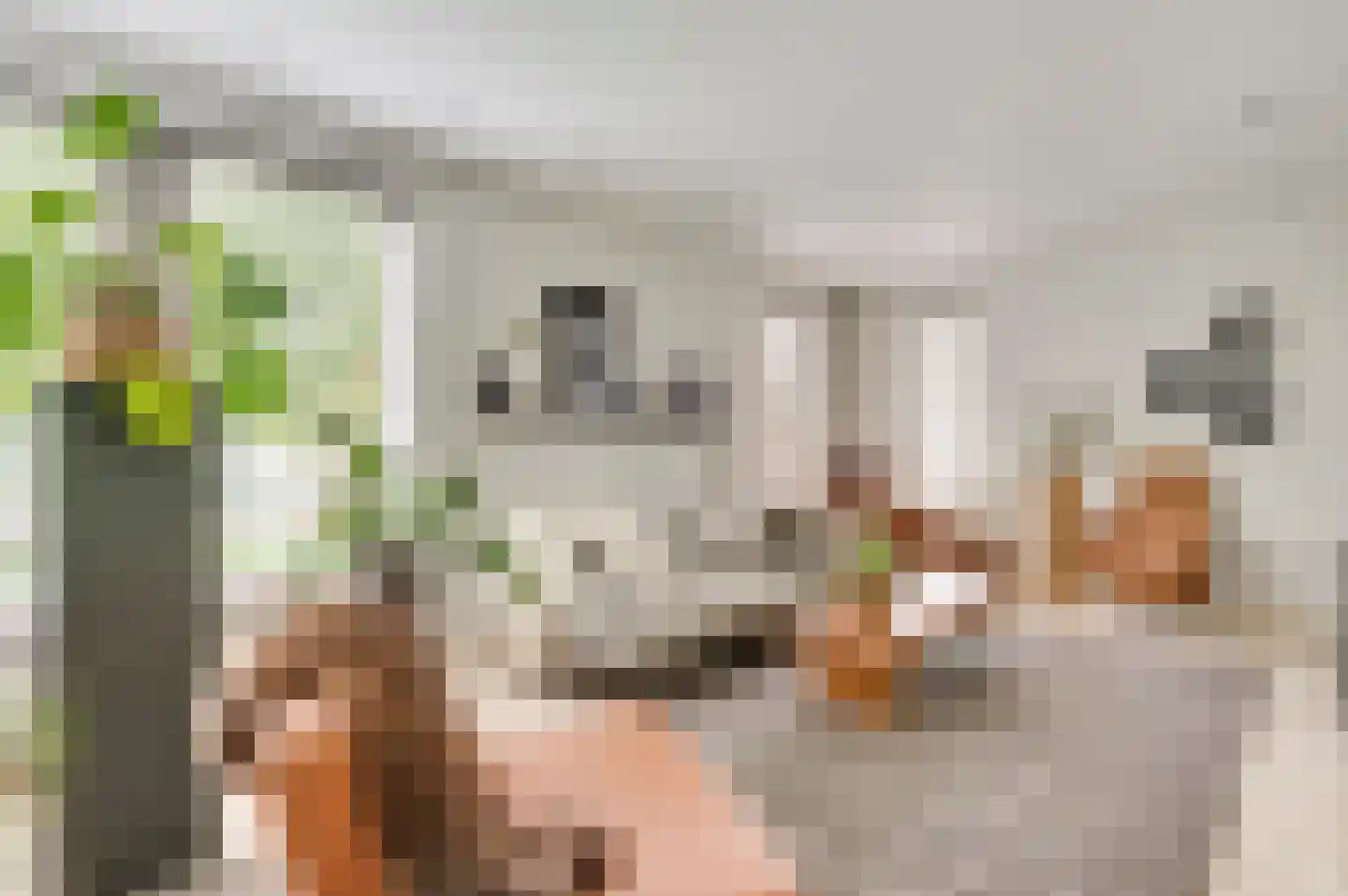 De Vinnen 4 a Maarheeze thumbnail 11