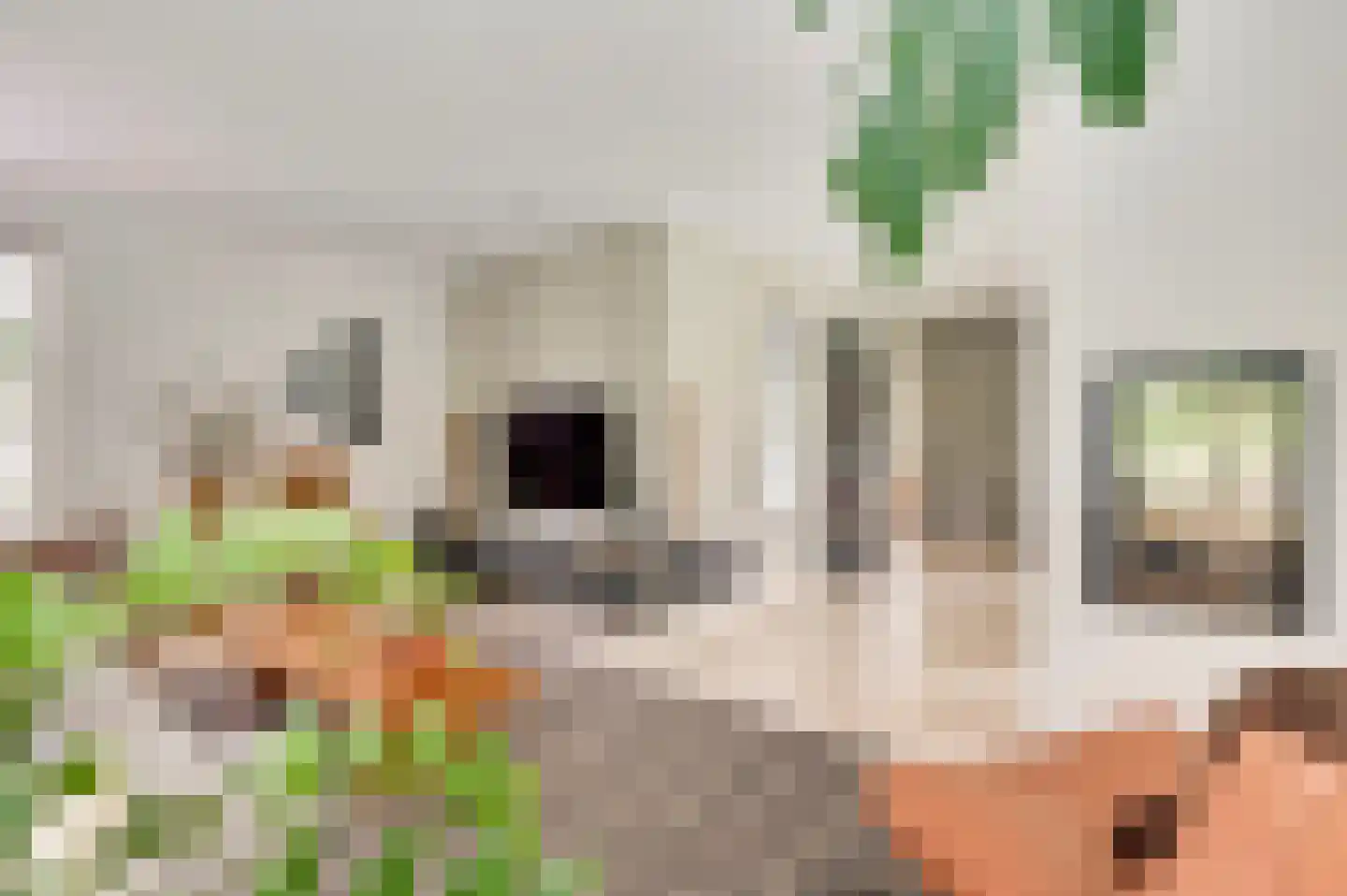 De Vinnen 4 a Maarheeze thumbnail 12