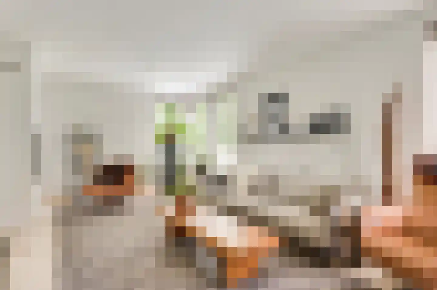 De Vinnen 4 a Maarheeze thumbnail 13