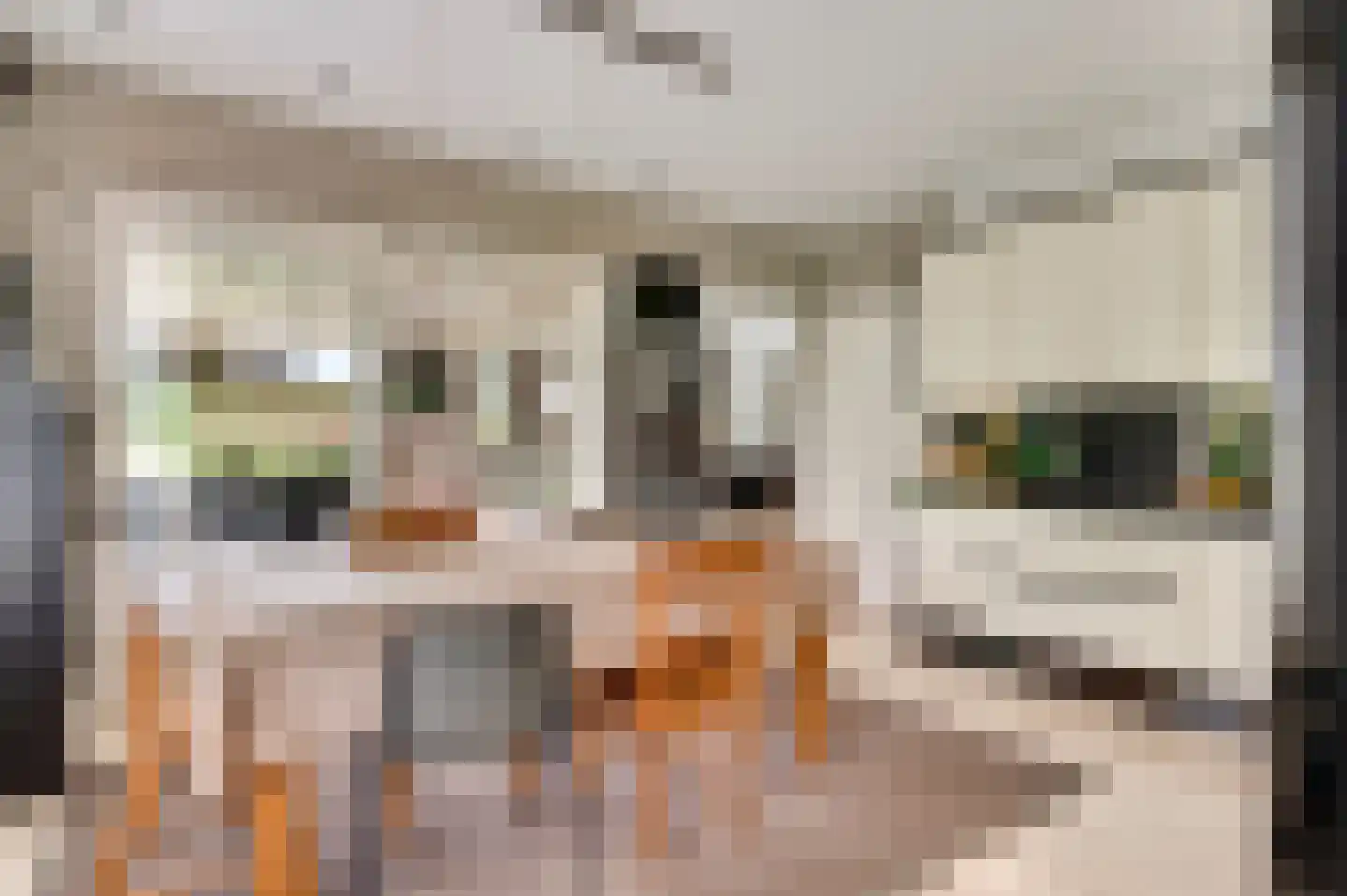 De Vinnen 4 a Maarheeze thumbnail 16