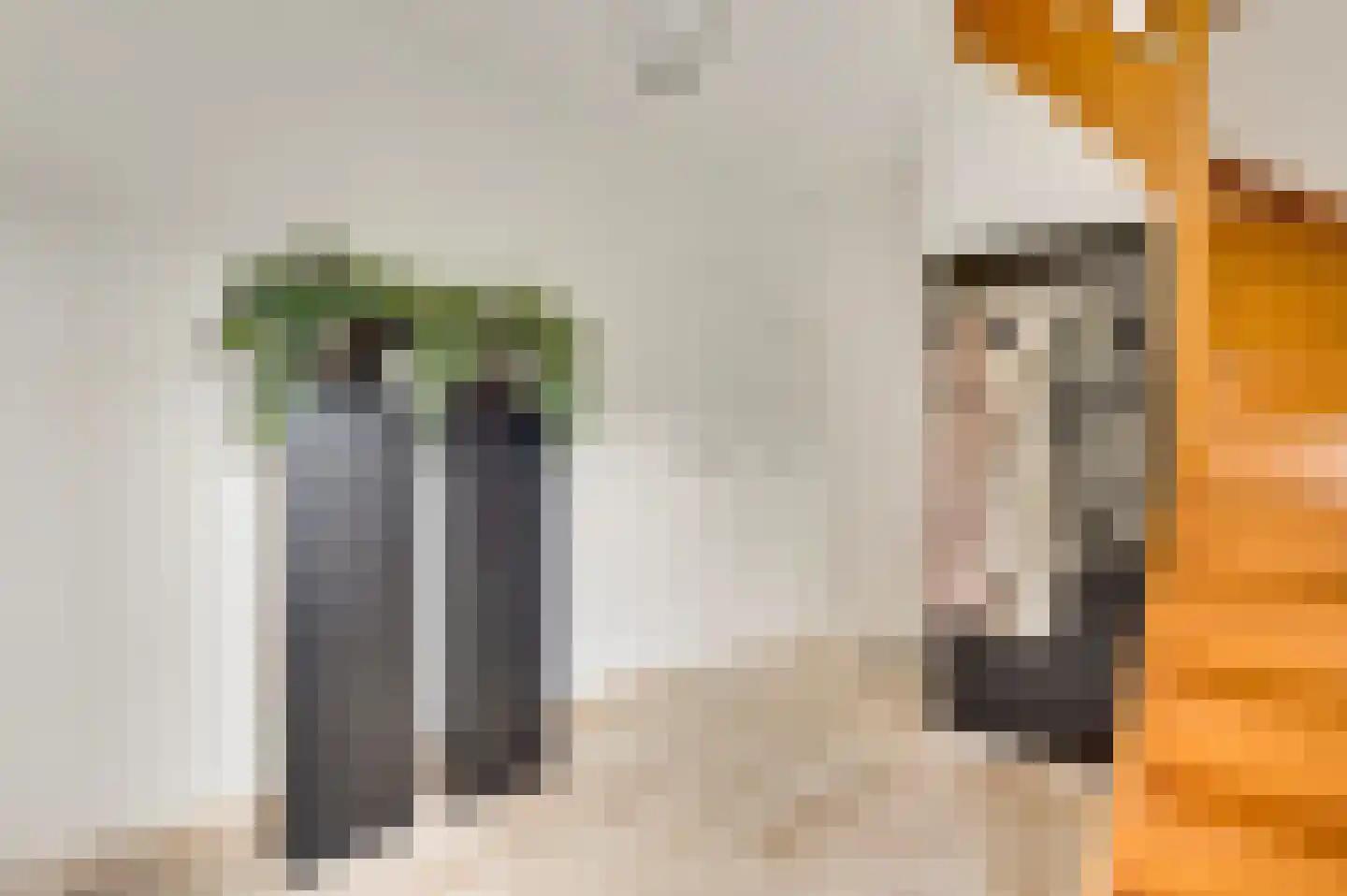 De Vinnen 4 a Maarheeze thumbnail 8