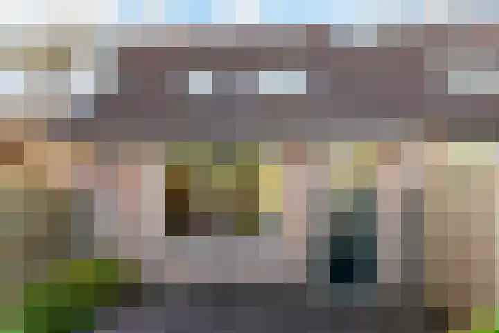 De Violieren 158 Apeldoorn thumbnail 17