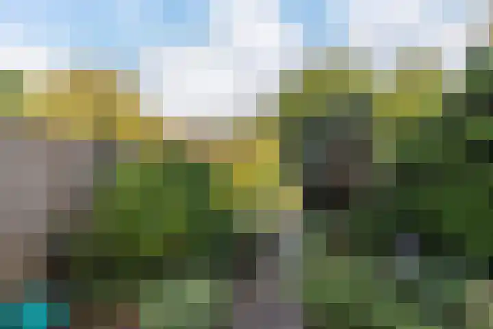 De Violieren 158 Apeldoorn thumbnail 18