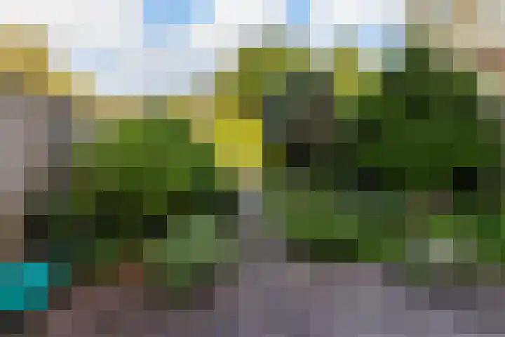De Violieren 158 Apeldoorn thumbnail 19