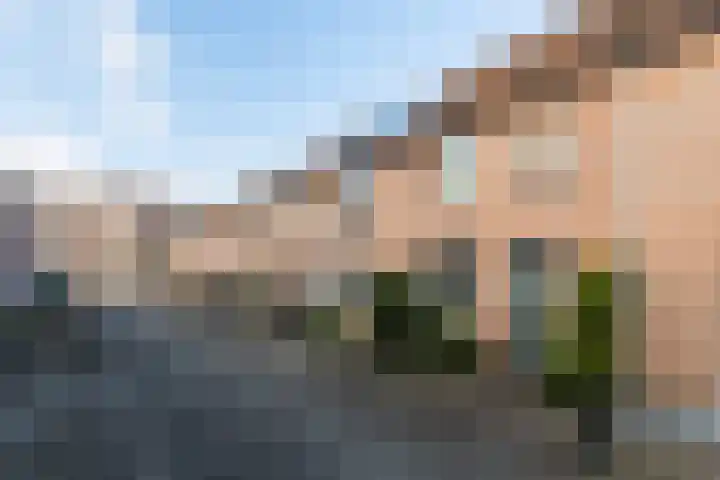 De Violieren 158 Apeldoorn thumbnail 22