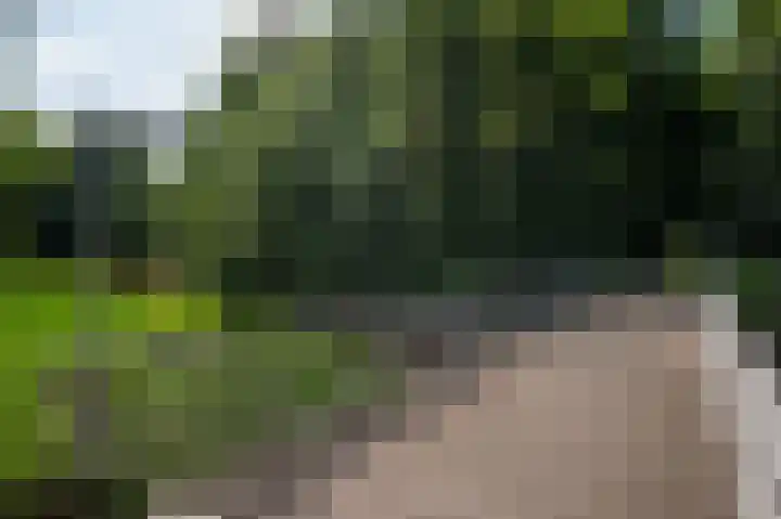 De Violieren 63 Apeldoorn thumbnail 31