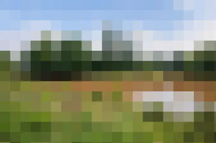 De Violieren 63 Apeldoorn thumbnail 32
