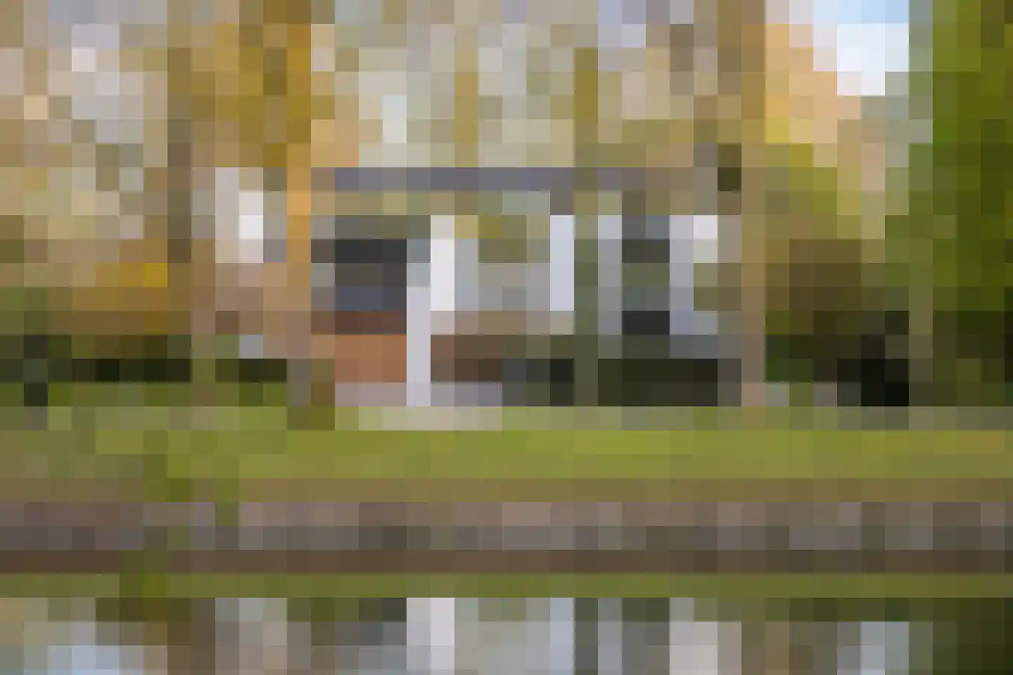 de Virieusingel 10 a in Zaltbommel