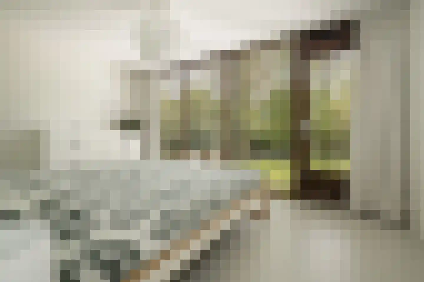 de Virieusingel 10 a Zaltbommel thumbnail 12