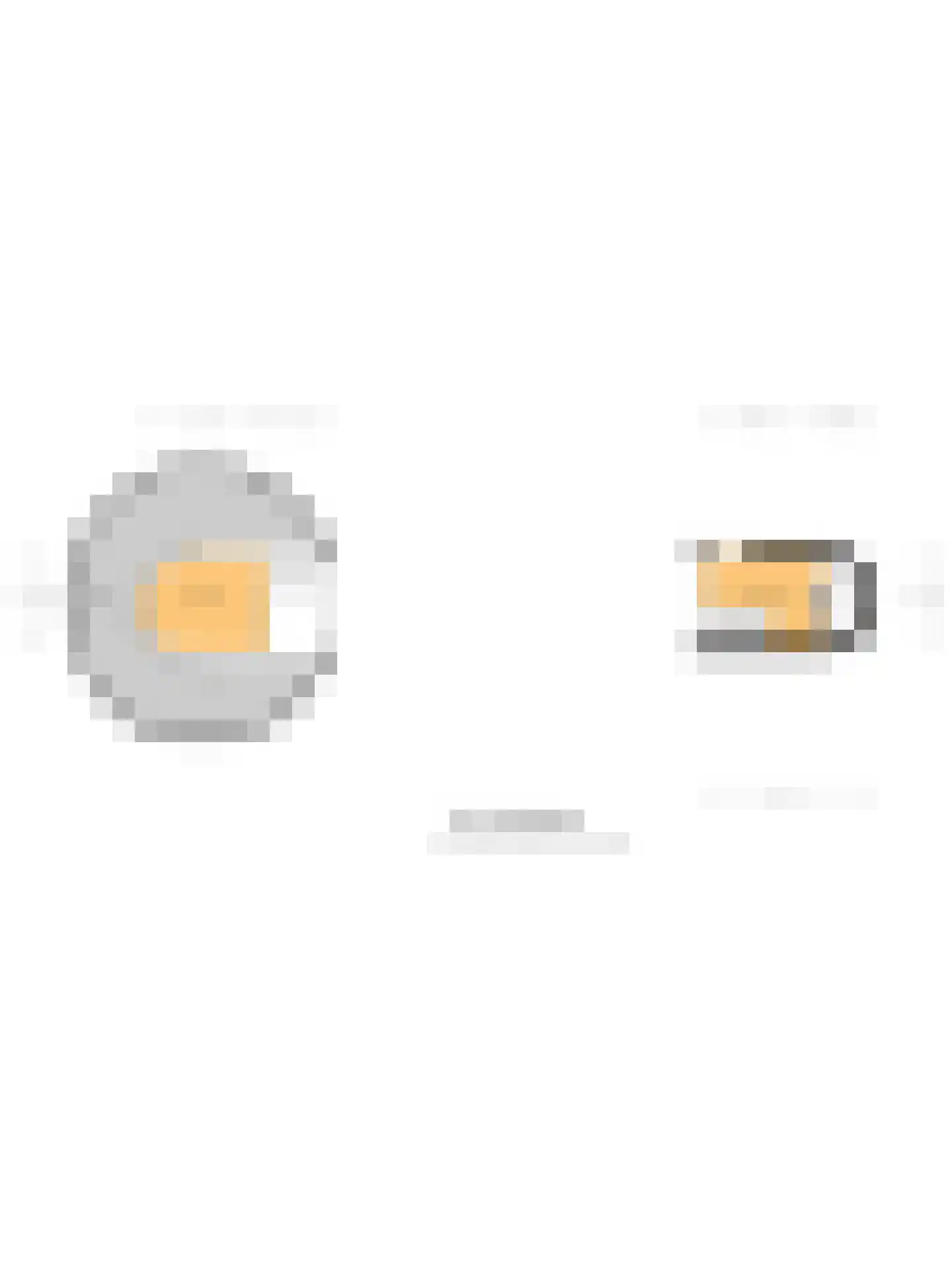 de Virieusingel 10 a Zaltbommel thumbnail 39