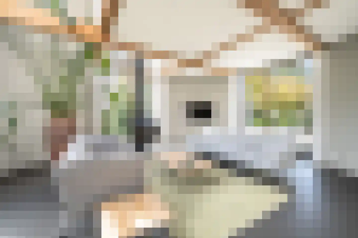 de Virieusingel 10 a Zaltbommel thumbnail 8
