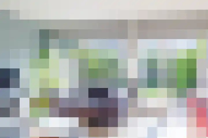 De Vischkom 15 Vleuten thumbnail 11