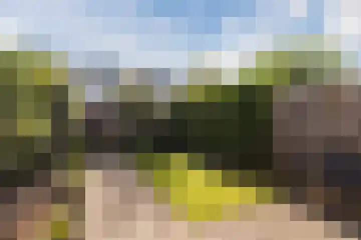 De Vischkom 15 Vleuten thumbnail 13