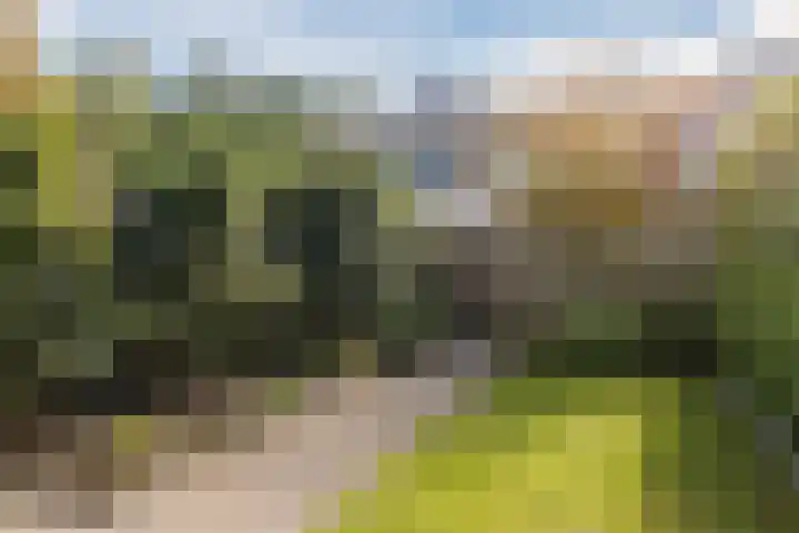 De Vischkom 15 Vleuten thumbnail 14