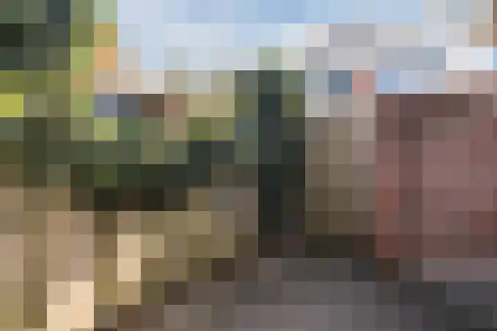 De Vischkom 15 Vleuten thumbnail 15