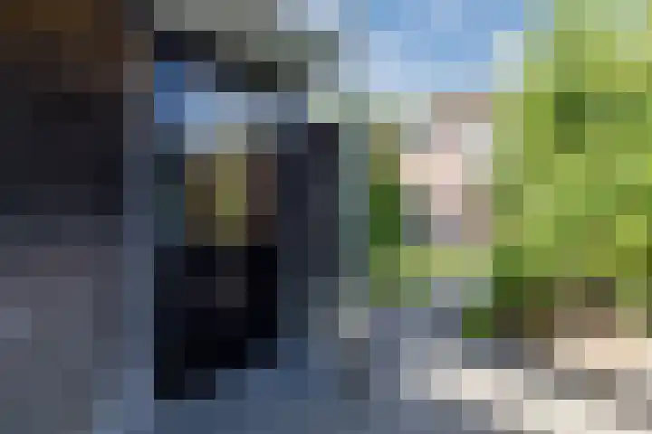 De Vischkom 15 Vleuten thumbnail 16