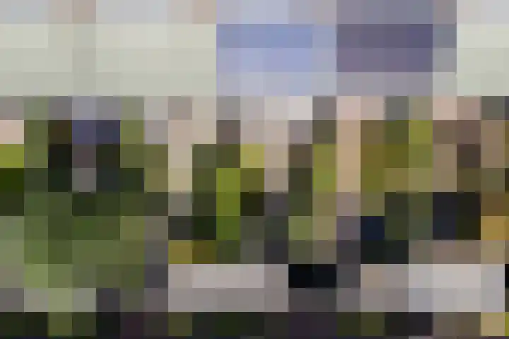 De Vischkom 15 Vleuten thumbnail 17