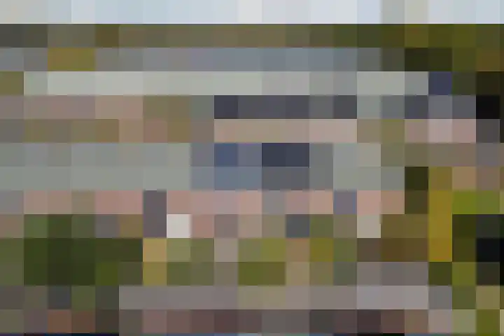 De Vischkom 15 Vleuten thumbnail 18