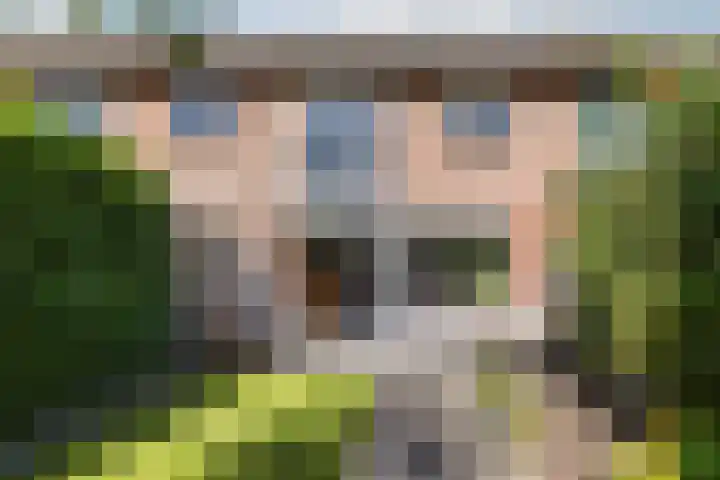 De Vischkom 15 Vleuten thumbnail 21