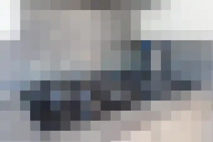 De Vischkom 15 Vleuten thumbnail 29