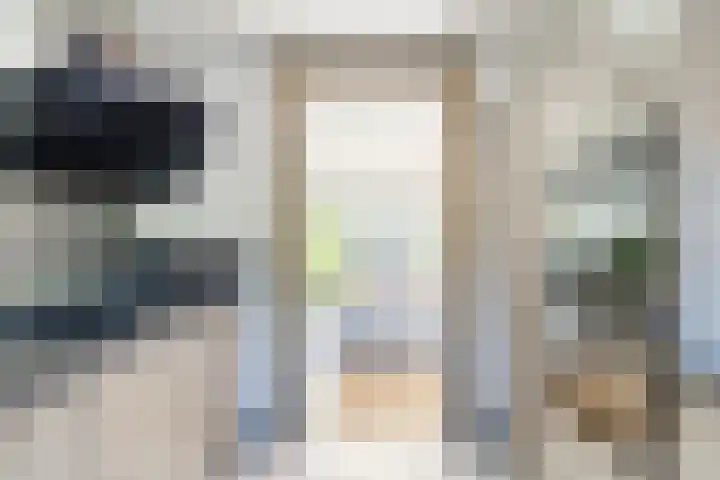 De Vischkom 15 Vleuten thumbnail 31
