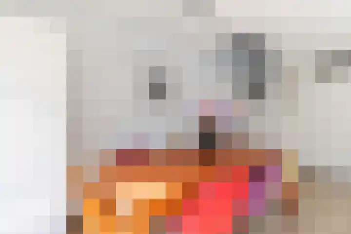 De Vischkom 15 Vleuten thumbnail 32